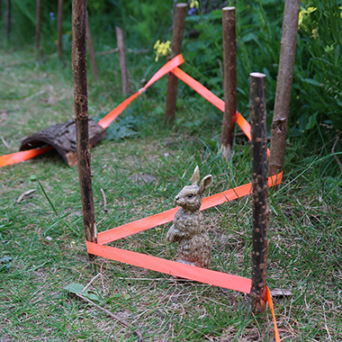 sorrel_muggridge_hare sorrel_muggridge_hare
