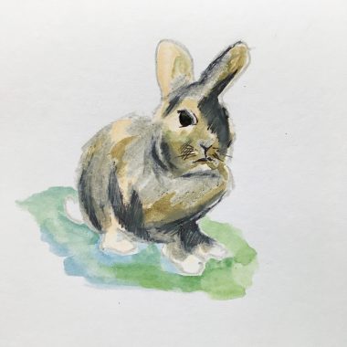 Hop to it Rabbit Hop to it Rabbit