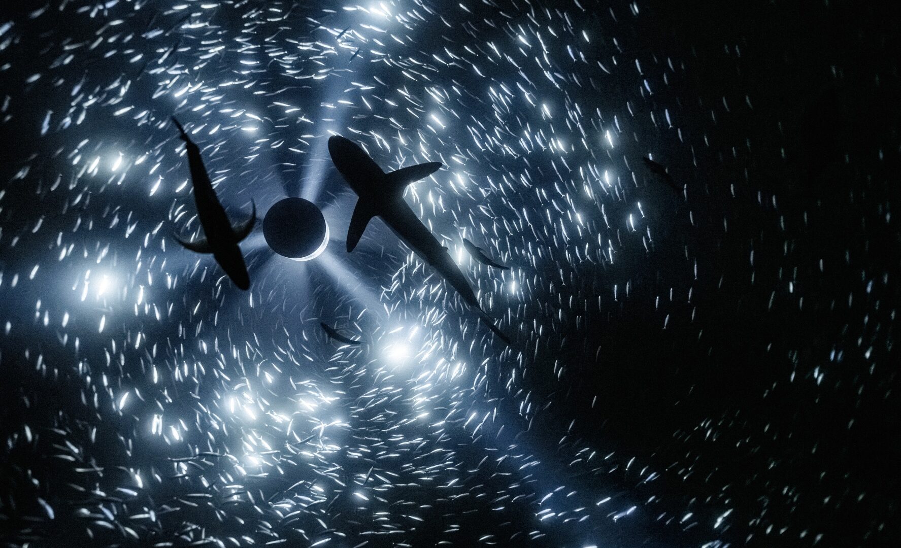 Julian Charrière, Midnight Zone, 2024 Copyright the artist; VG Bild-Kunst, Bonn, Germany.