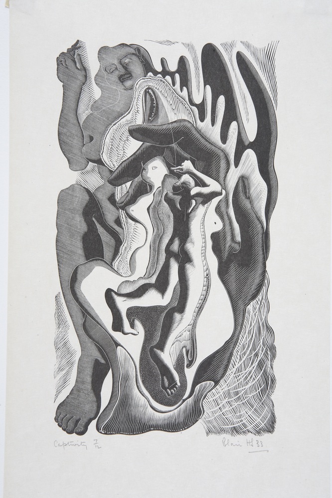 S.86f - Captivity - Sainsbury Centre