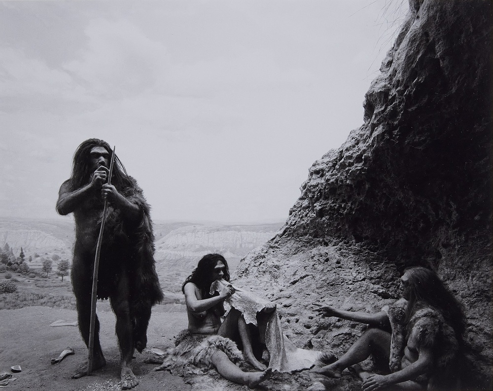 芸術写真 Pictures from the Surface of the Earth Earth's Poet of Scale | The New Yorker